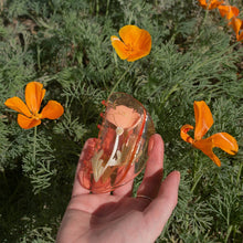 Load image into Gallery viewer, California Poppy Wildflower Hair Claw in Clear Acetate