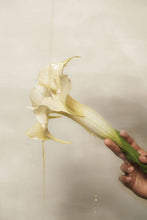 Load image into Gallery viewer, Sunset Body Oil, Clary Sage & Vetiver